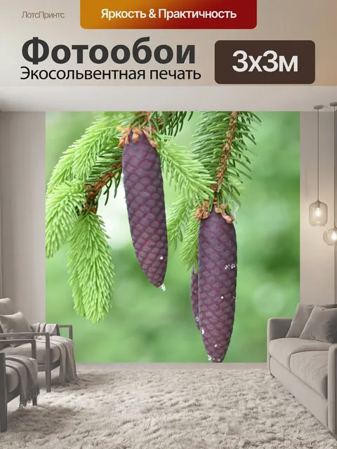 Фотообои Природа