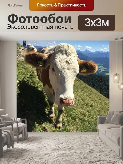 Фотообои Животное