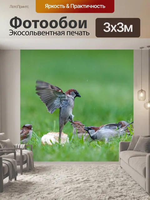 Фотообои Воробей