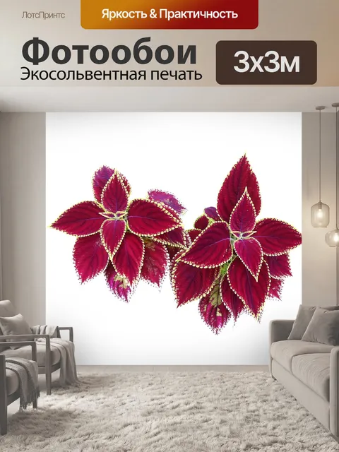 Фотообои Цветы