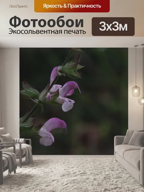Фотообои Фиолетовые полевые цветы Немезии