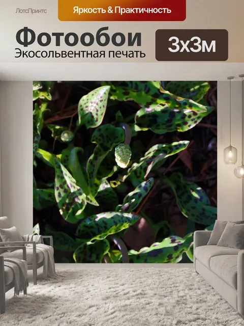 Фотообои Пятнистые листья и цветочные головки