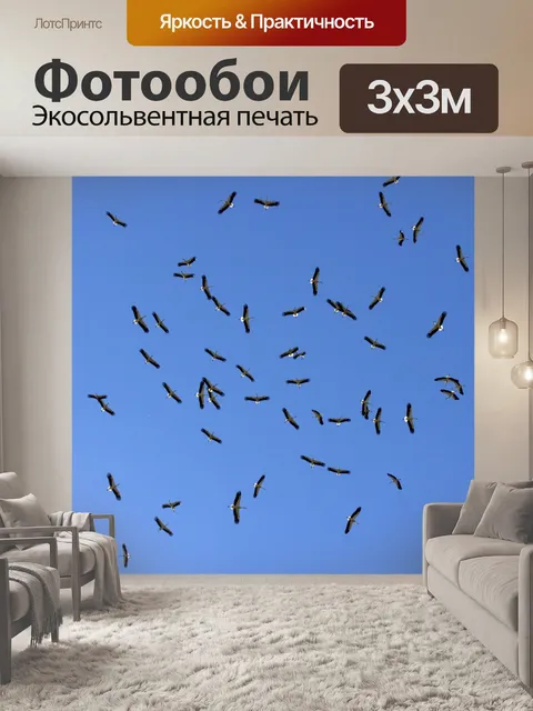 Фотообои Аист