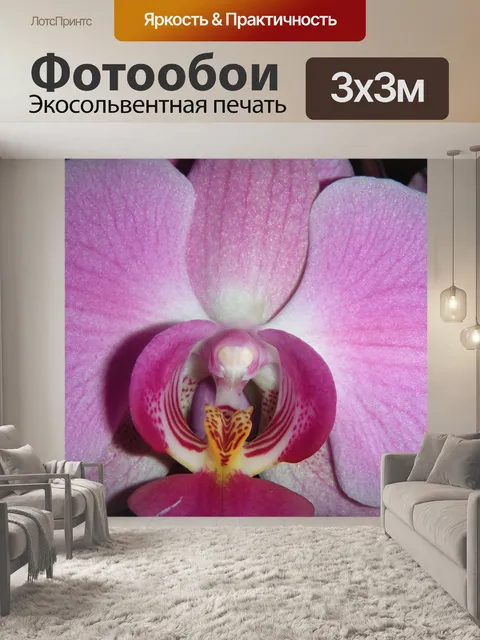 Фотообои Цветок