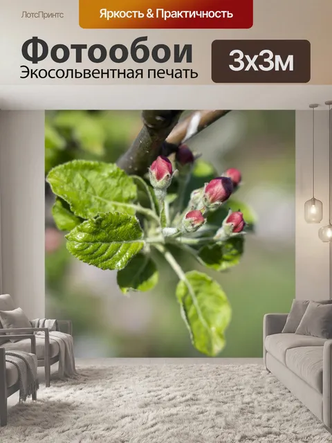 Фотообои Цветок