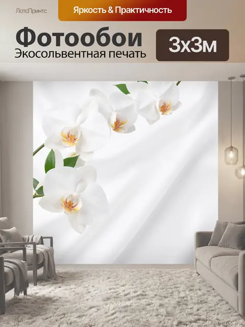 Фотообои Белые орхидеи на светлом фоне