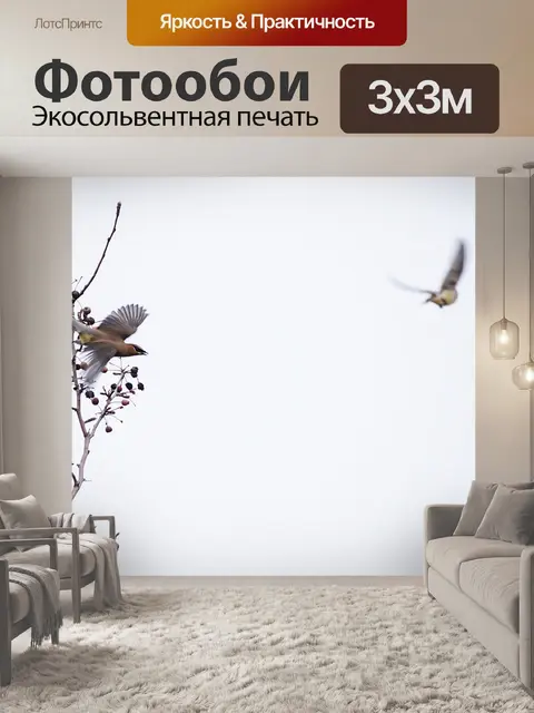Фотообои Кедр свиристель