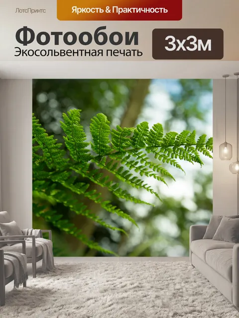 Фотообои папоротник
