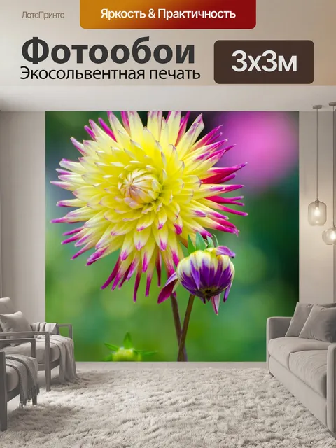 Фотообои Цветы