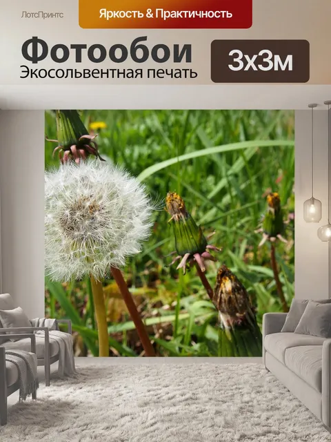 Фотообои Осот огородный