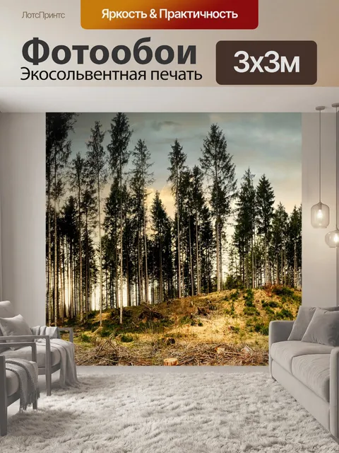 Фотообои Лес