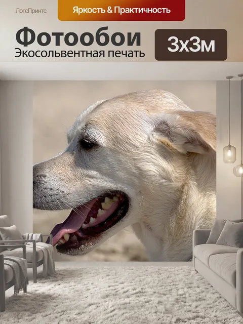 Фотообои Собаки