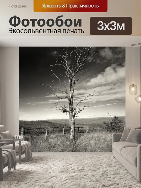 Фотообои Дерево