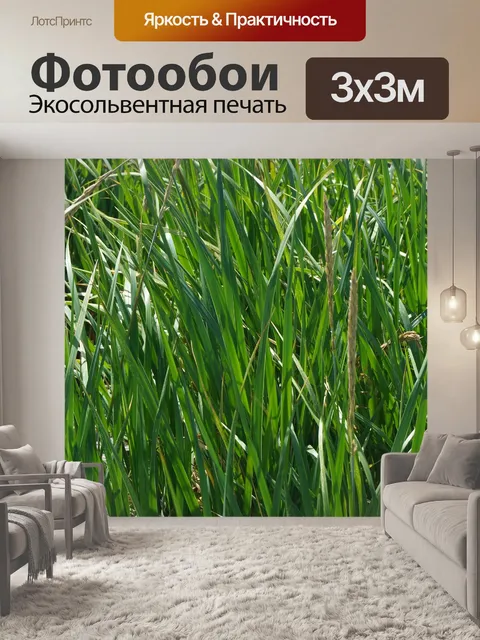 Фотообои Море