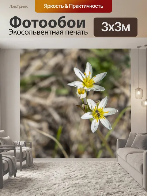 Фотообои Цветы