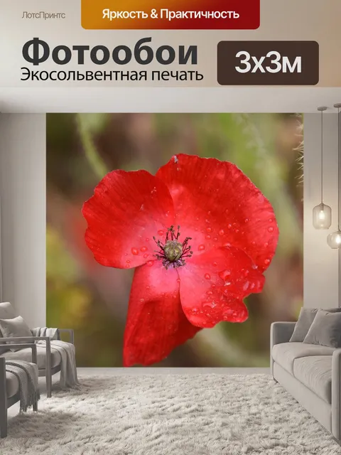 Фотообои Цветок