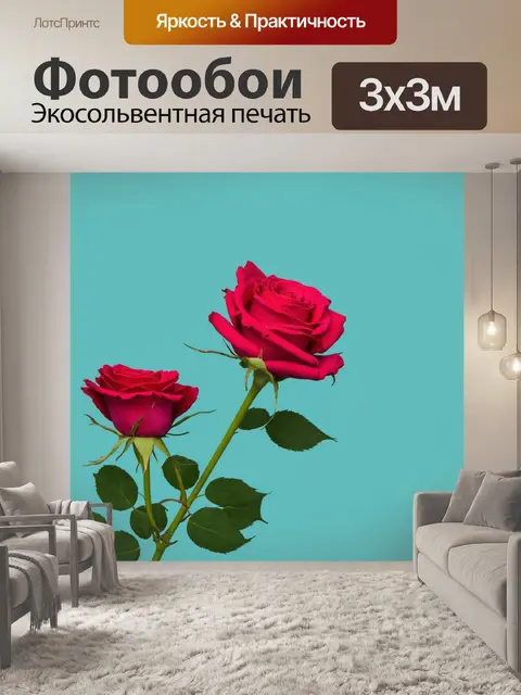 Фотообои розы в стиле минимализм