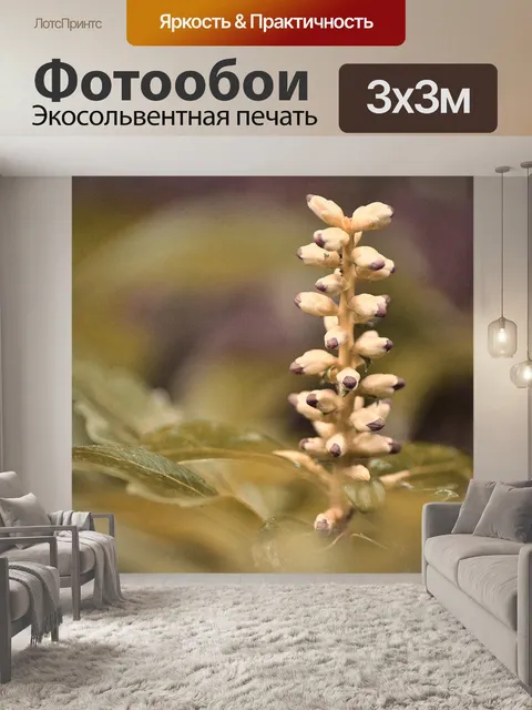 Фотообои Цветы