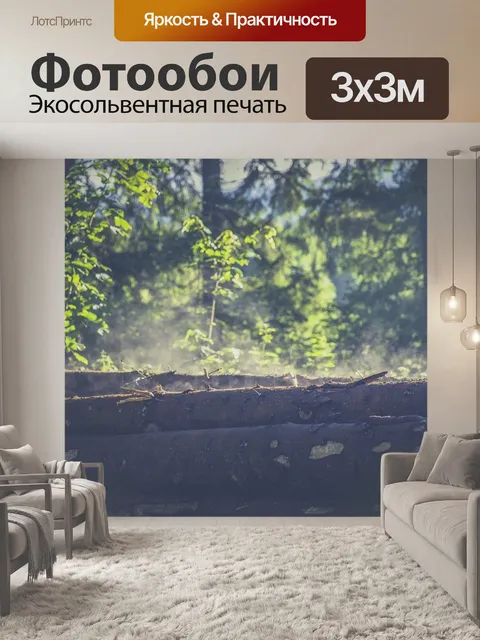 Фотообои Лес