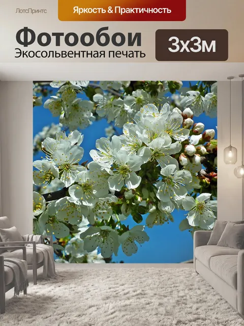 Фотообои Вишня