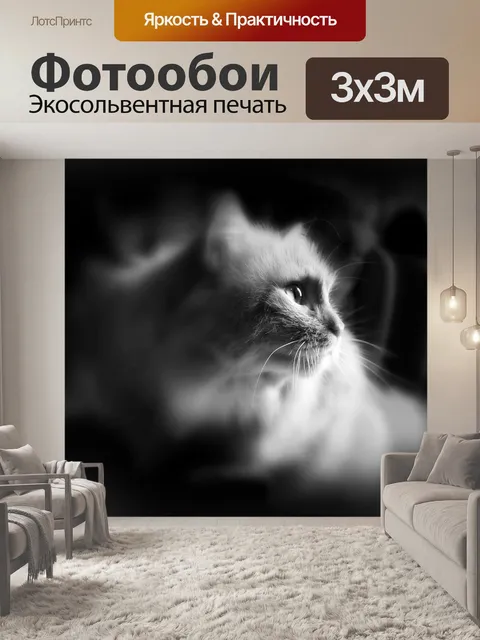 Фотообои Кот