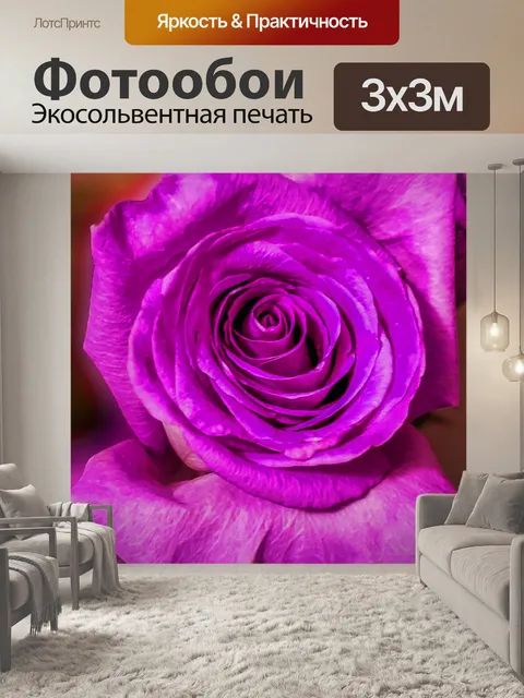 Фотообои Пурпурная роза