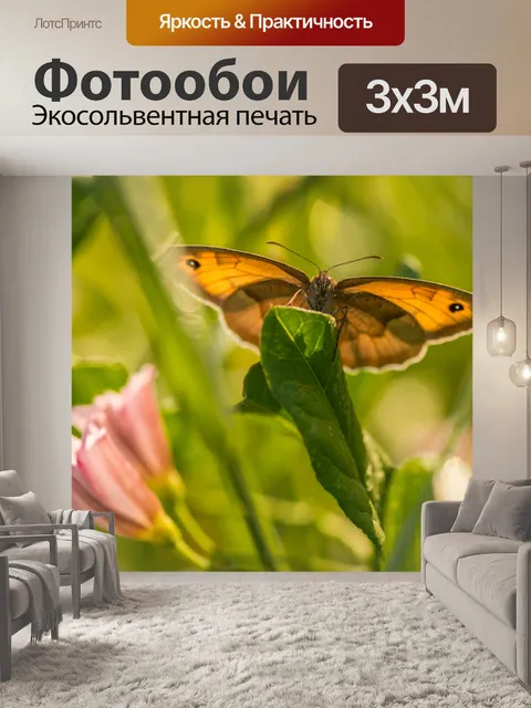 Фотообои Бабочка