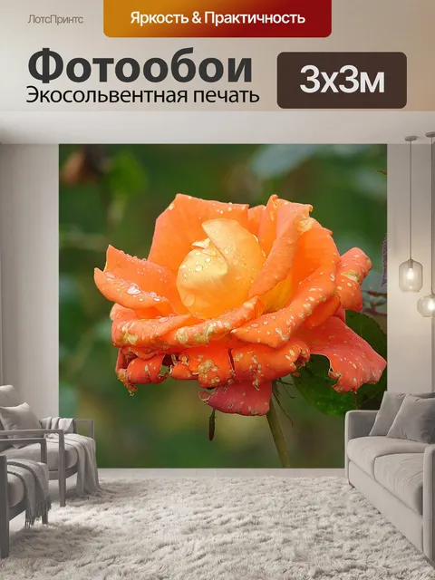 Фотообои Роза