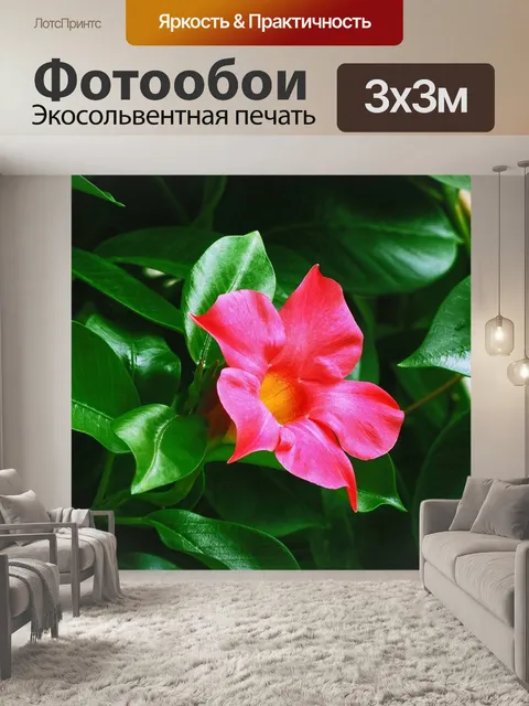 Фотообои Цветы