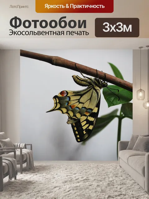 Фотообои Парусники бабочки
