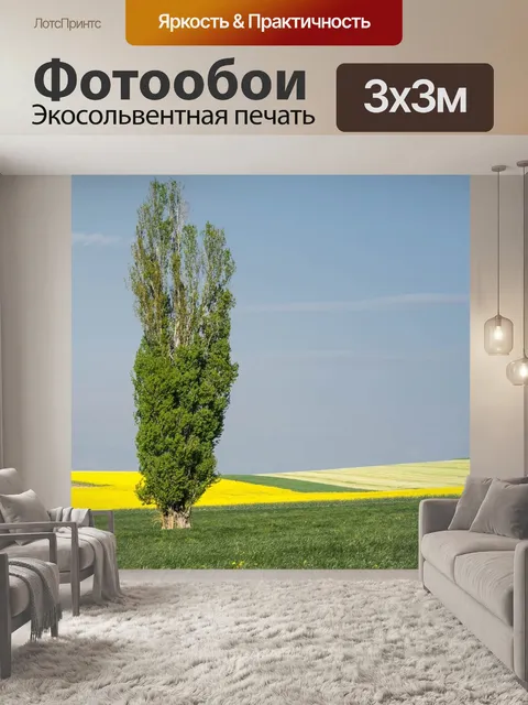 Фотообои Тополь