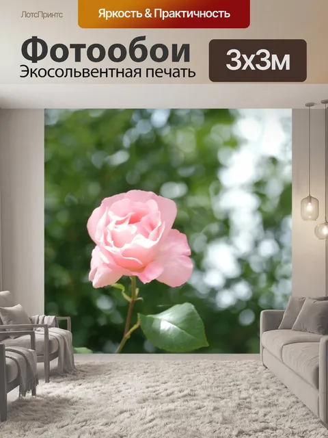 Фотообои Красивая роза