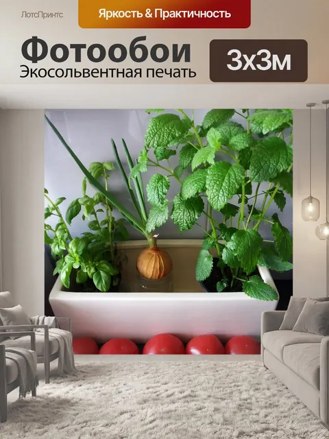 Фотообои Лист