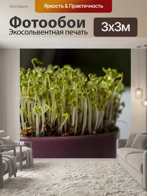Фотообои Флора