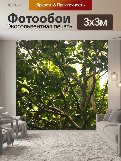 Фотообои ветви натального дерева гикори