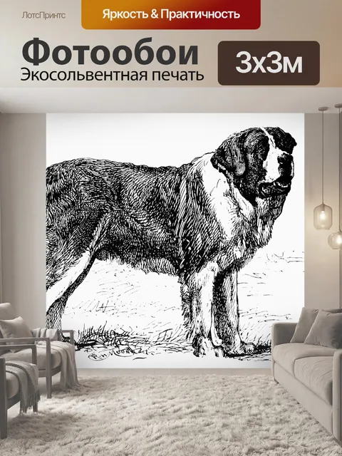 Фотообои Сенбернар старинные иллюстрации