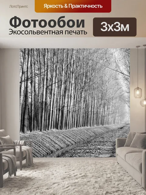 Фотообои Лес