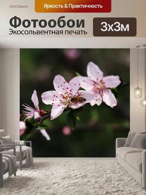 Фотообои Цветы