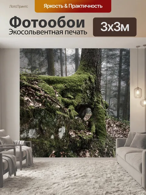 Фотообои Wehraschlucht