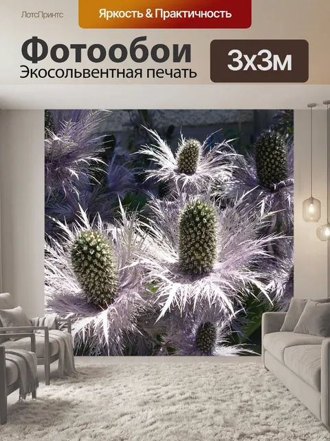 Фотообои Цветы