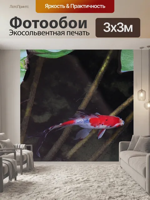 Фотообои Красная рыбка кои в пруте