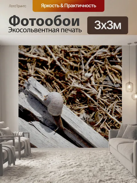 Фотообои Улитка по дереву