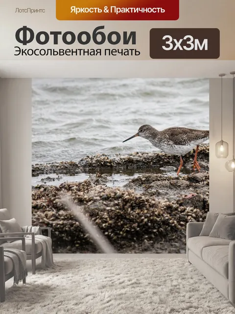 Фотообои Вод