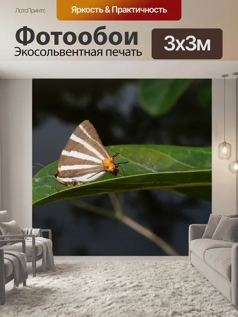 Фотообои Природа