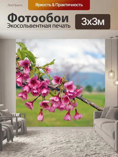Фотообои Цветок