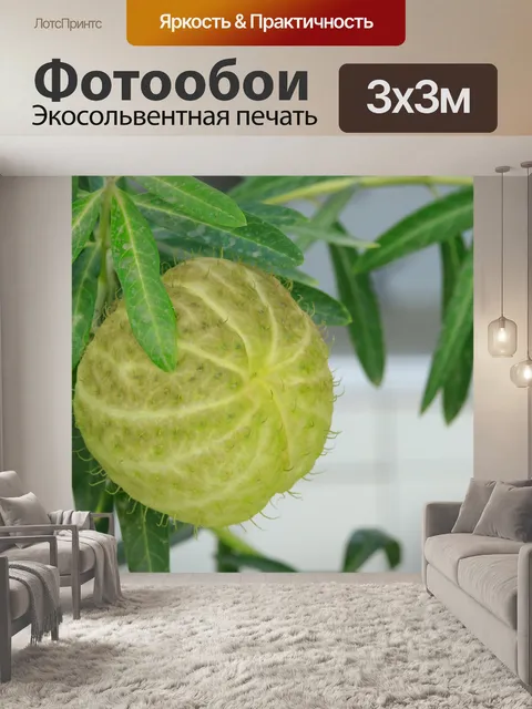 Фотообои Красивый цветок