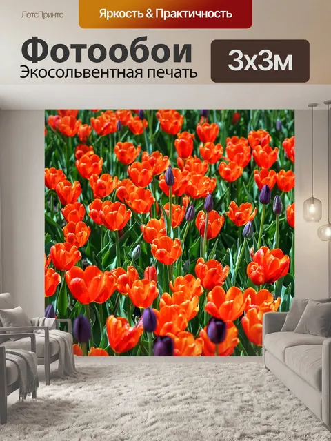 Фотообои Тюльпаны