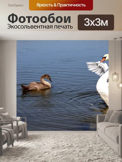 Фотообои Лебеди