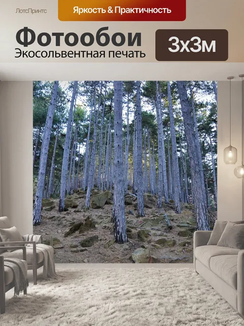 Фотообои Лес