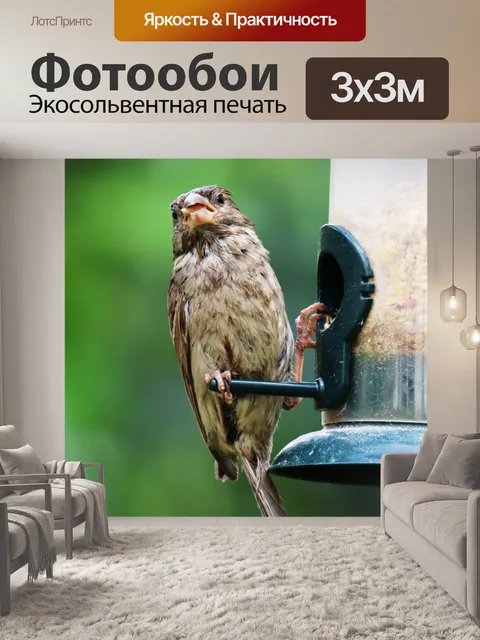 Фотообои Кормление воробья